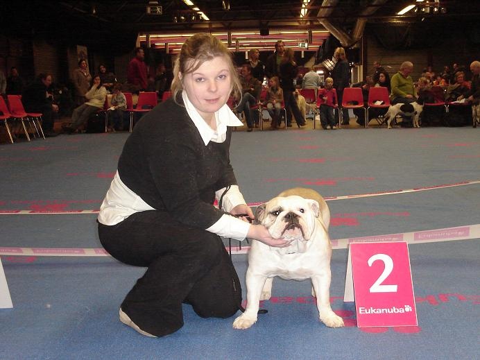 Kingston bull's Hannelore - 2eme tres prometteur