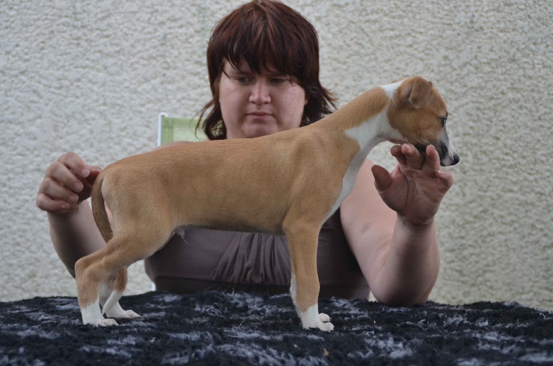 CH. Histoire de france des plaines des Bruyères