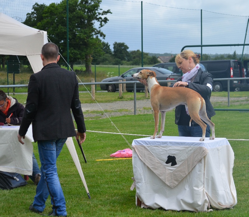 CH. Histoire de france des plaines des Bruyères