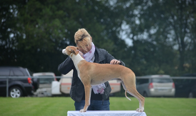 CH. Histoire de france des plaines des Bruyères