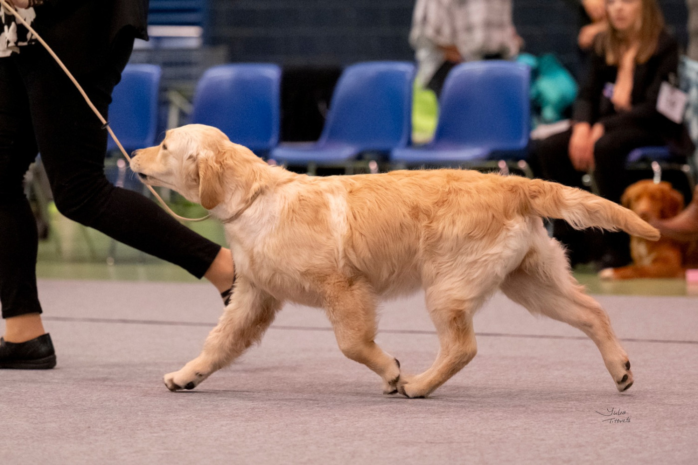 A first edition des plaines des Bruyères - 1er TP - BOS BABY