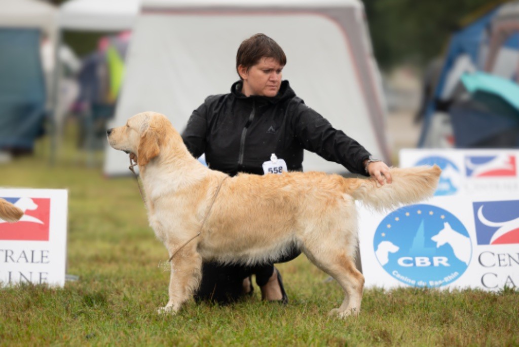 Unexpected reign Of Pelennor Fields - 1er EXC - CACS - MEILLEURE DE RACE