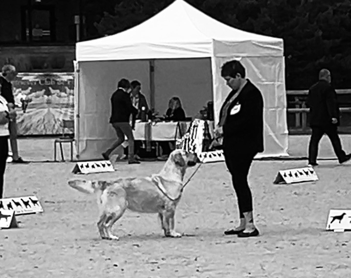 Unexpected reign Of Pelennor Fields - 2eme EXCELLENT