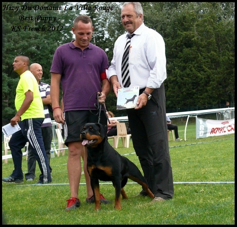 Hizy du domaine la Villa Rouge - BEST PUPPY in show