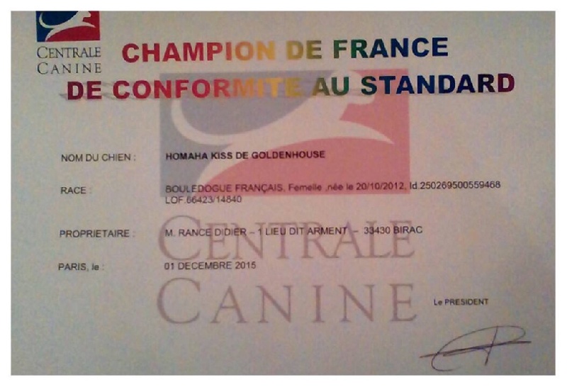 Publication : de Goldenhouse Auteur : Chloé Labrousse