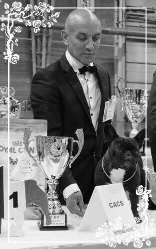 Publication : de Goldenhouse Auteur : Chloé Labrousse