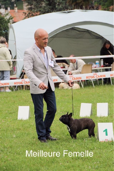 Publication : de Goldenhouse Auteur : Chloé Labrousse