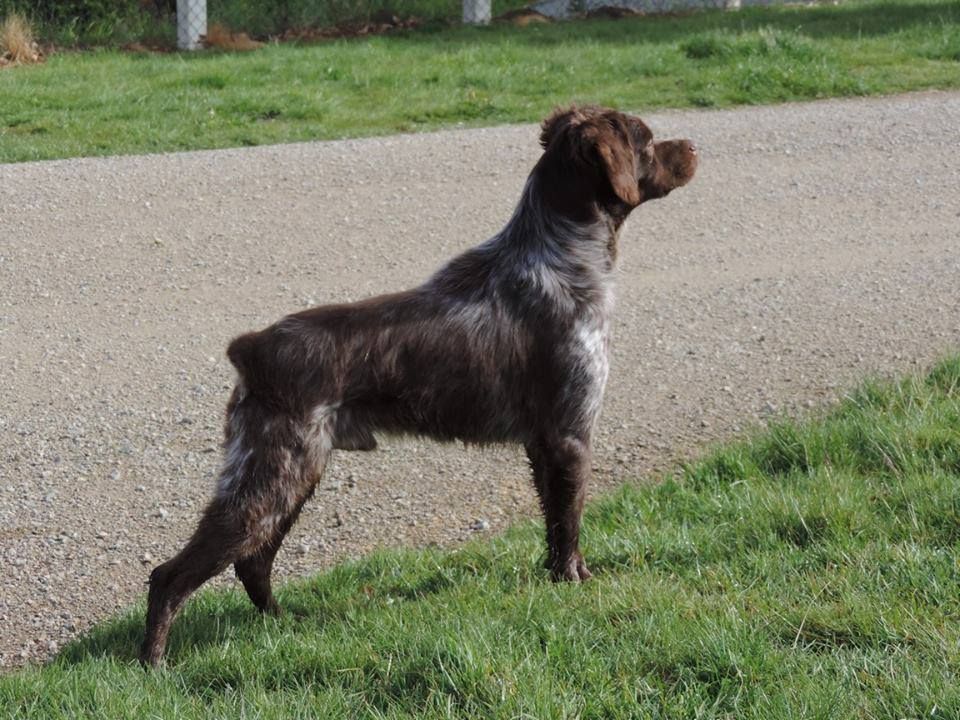 Lago Du bois des ecrivains
