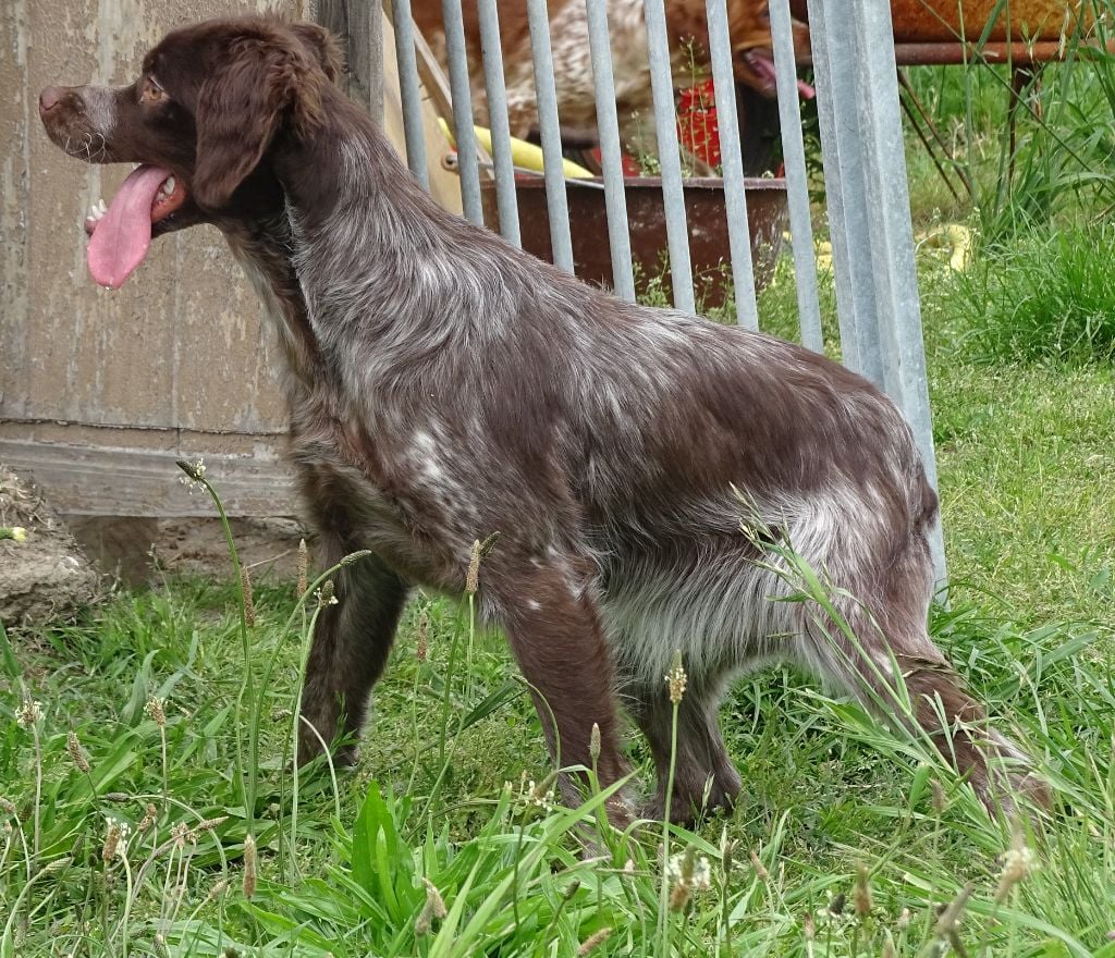 Lago Du bois des ecrivains