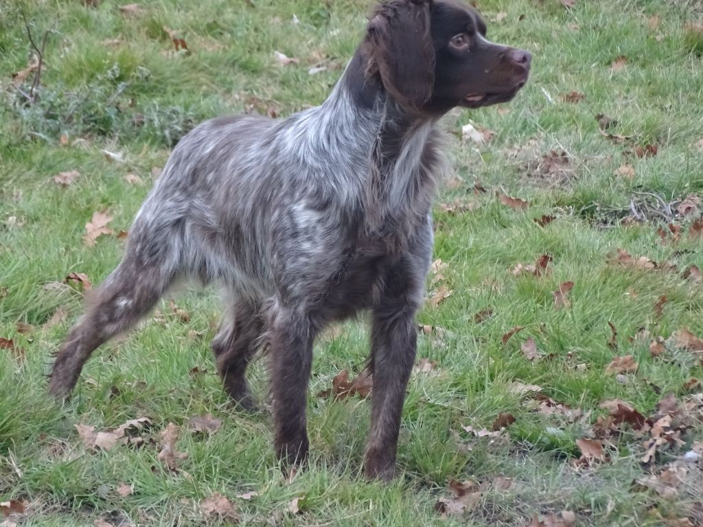 Lago Du bois des ecrivains