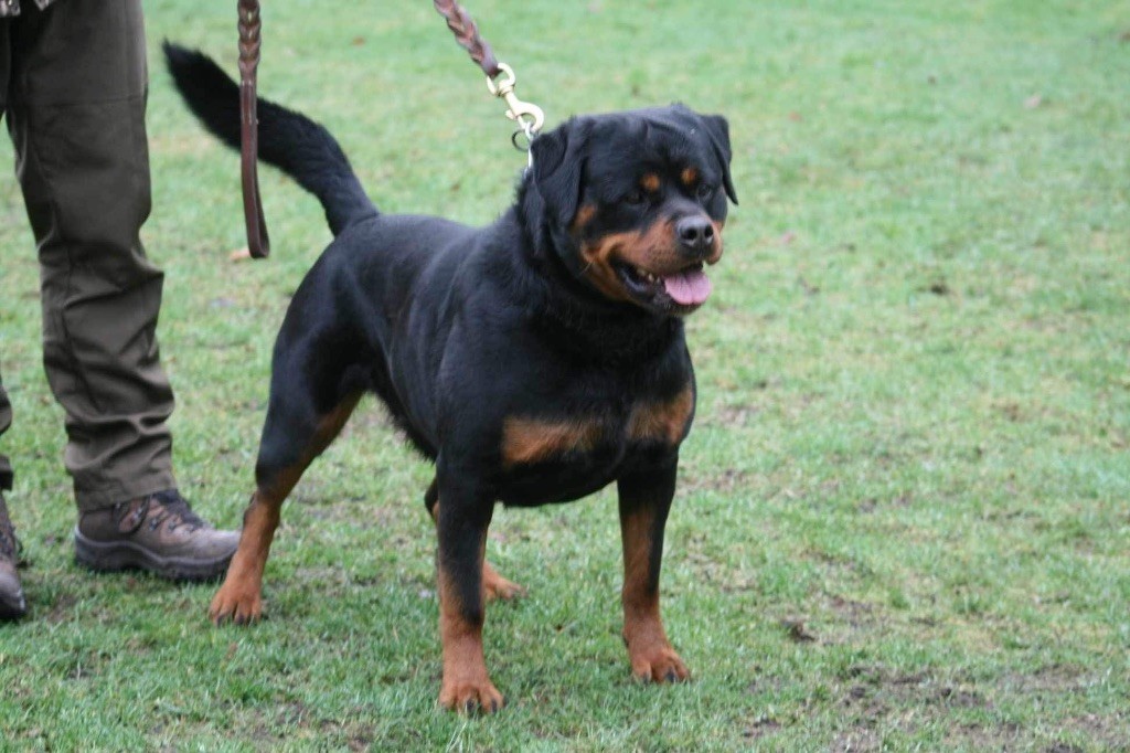 Publication : des fils de Nwenco