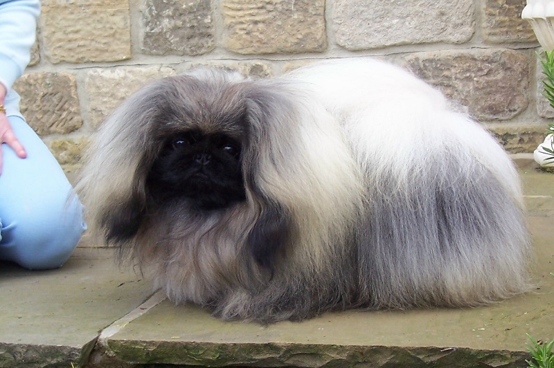 Publication : de la source du chateau