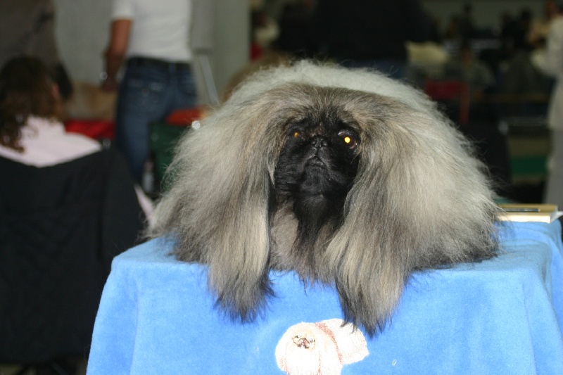 Publication : de la source du chateau