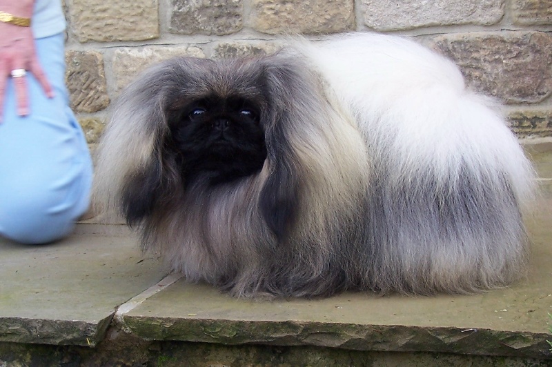 Publication : de la source du chateau