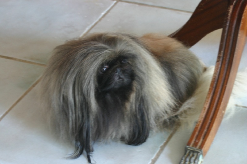 Publication : de la source du chateau