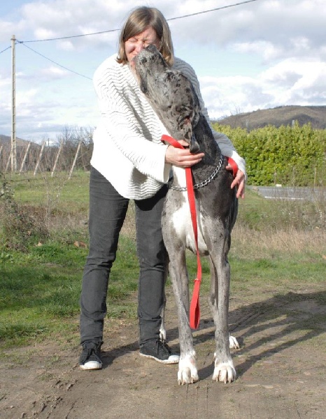 Hérésie du paradis des géants