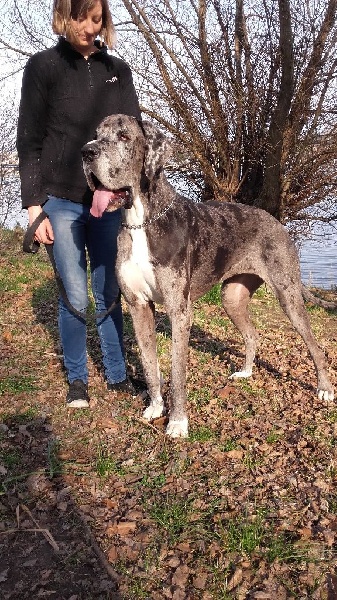 Hérésie du paradis des géants