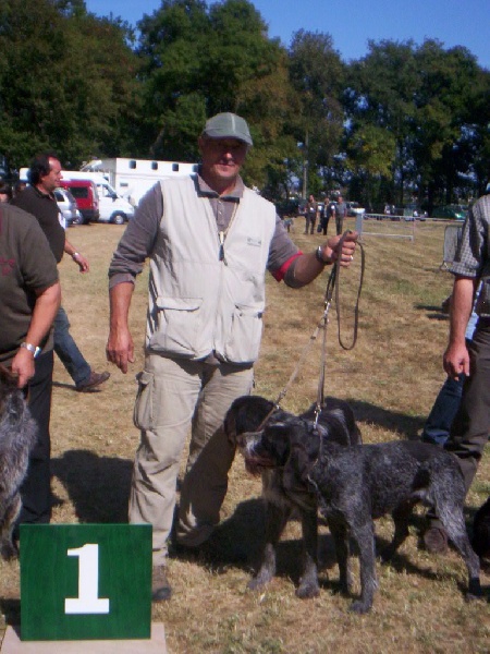 CH. Belly du haut du bois d'ardennes - classe travail : 1ère Exc. ;RCACS