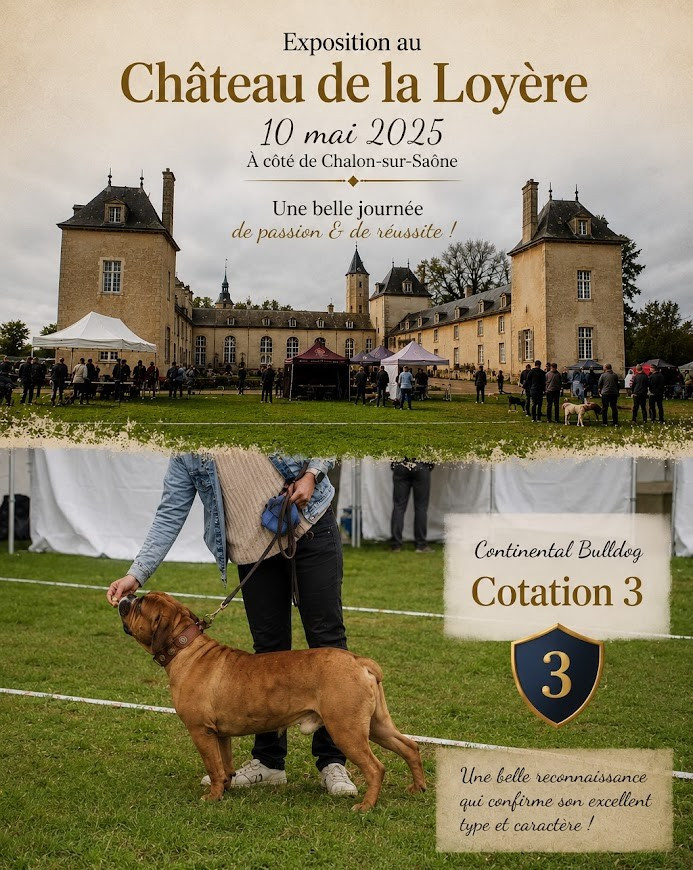 Publication : des chemins du bout du monde Auteur : c;bekesi