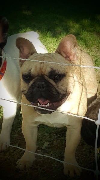 Lolly pop des chemins du bout du monde