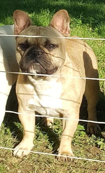 Lolly pop des chemins du bout du monde