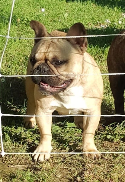 Lolly pop des chemins du bout du monde