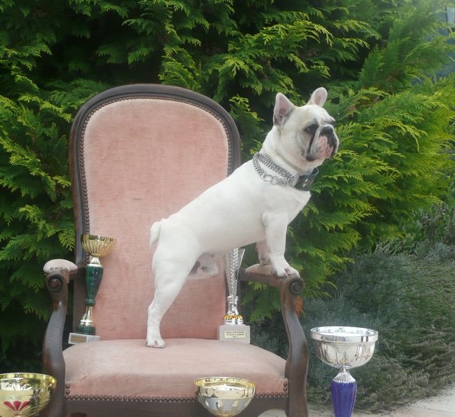 Funback De la landerie - 4EME EX EN CLASSE JEUNE