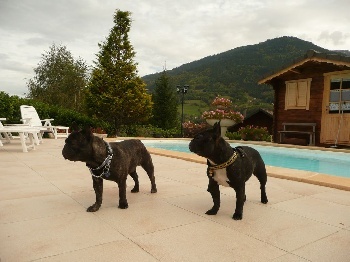 Cheebà prety anat jama de la fontaine du Vercors - EXCELLENTE