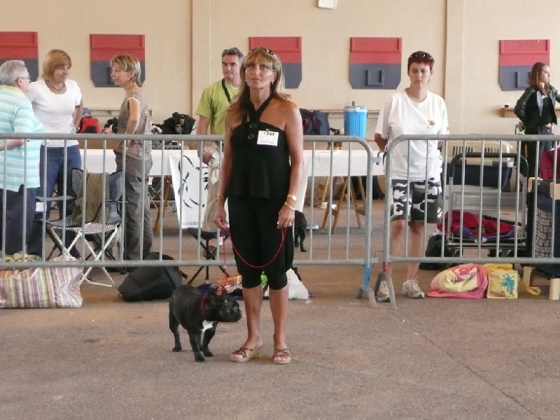 Cheebà prety anat jama de la fontaine du Vercors - 2ème excellent -classe intermédiaire