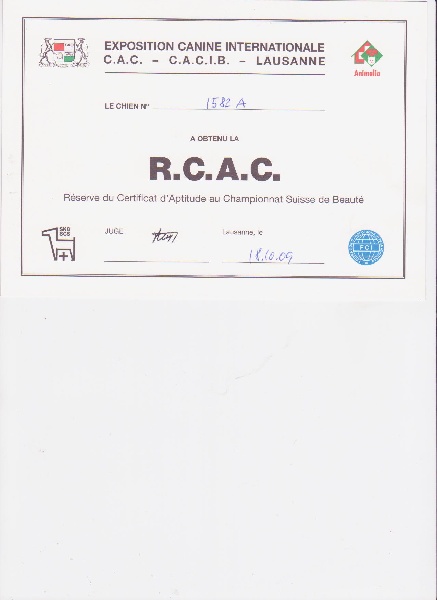 Cheebà prety anat jama de la fontaine du Vercors - 2ème EXCELLENT RCAC classe ouverte femelle