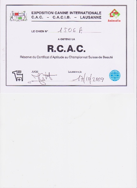 Cheebà prety anat jama de la fontaine du Vercors - 2ème EXCELLENT RCAC classe ouverte femelle