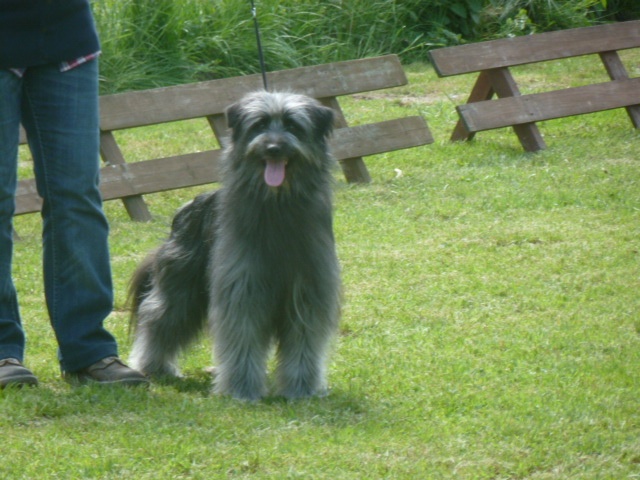 Ilo Jewels of Mountains - 1 Excellent R.CAC