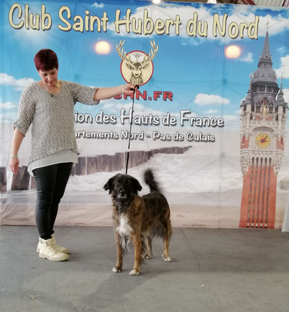 June des Forges de Thor - 2 Excellent / R.CACS