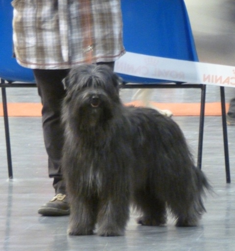 Kara Jewels of Mountains - 1 Excellent ---> Meilleur Jeune