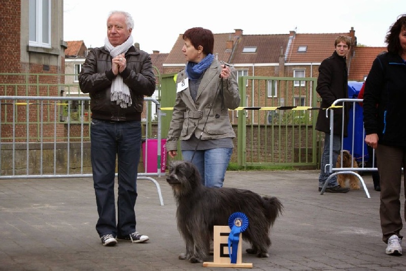 Ilo Jewels of Mountains - 2 Ex.