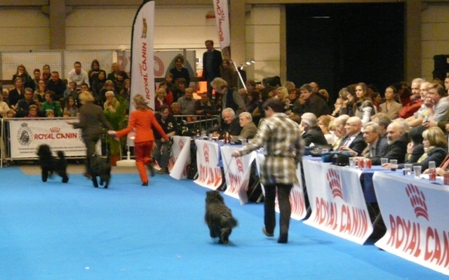 Kara Jewels of Mountains - 1 Excellent ---> Meilleur Jeune