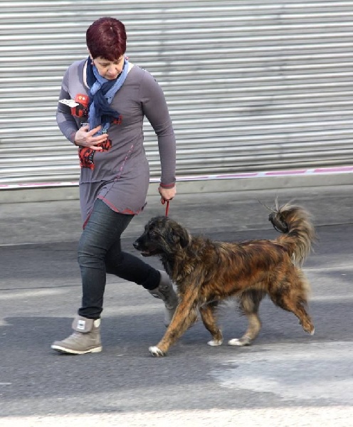 June des Forges de Thor - 1 Très Bon