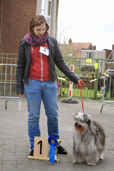 CH. Engy De la tuile au loup - 1 Ex. Meilleur vétéran