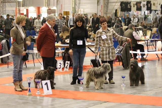 Kara Jewels of Mountains - 1 Excellent ---> Meilleur Jeune ---> 3ème Meilleurs BP. PL.