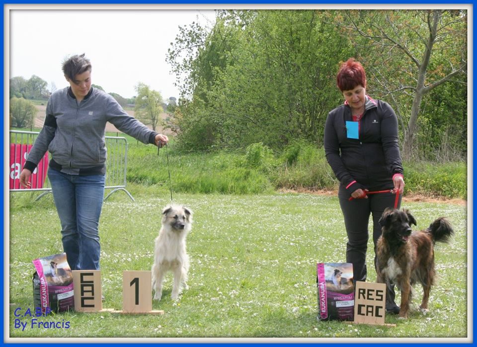 June des Forges de Thor - 2 Excellent / R.CAC