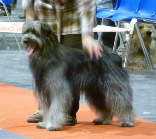 Ilo Jewels of Mountains - 3 Excellent