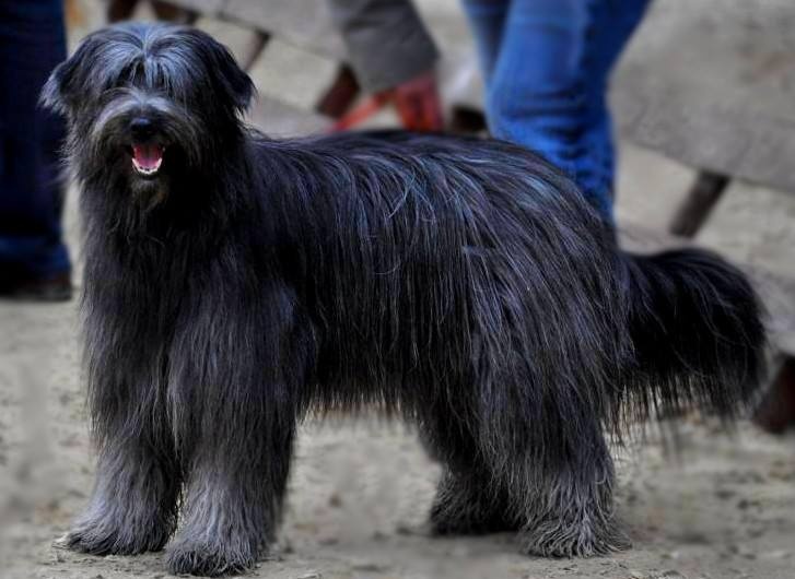 Kara Jewels of Mountains - 3 Excellent