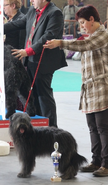 Kara Jewels of Mountains - 1 Très Bon ---> Meilleur Jeune & 4ème au Ring d'Honneur