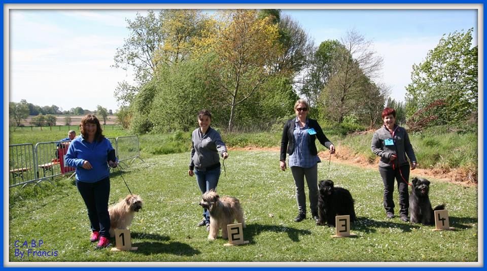 Ilo Jewels of Mountains - 4 Excellent