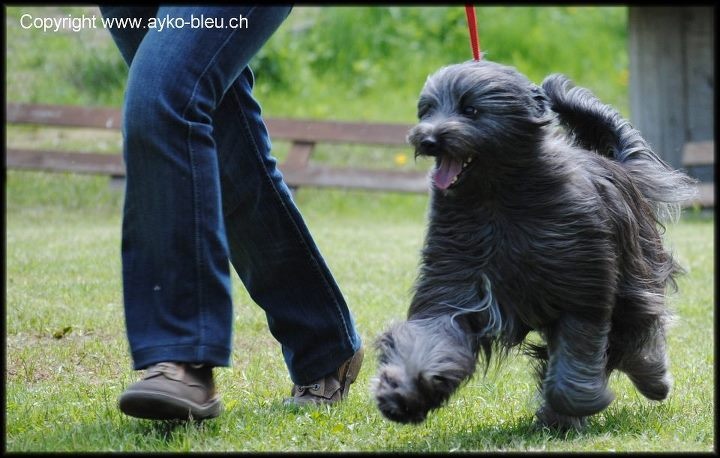 Kara Jewels of Mountains - 2 Excellent