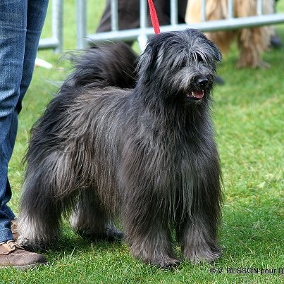 Kara Jewels of Mountains - 2 Excellent