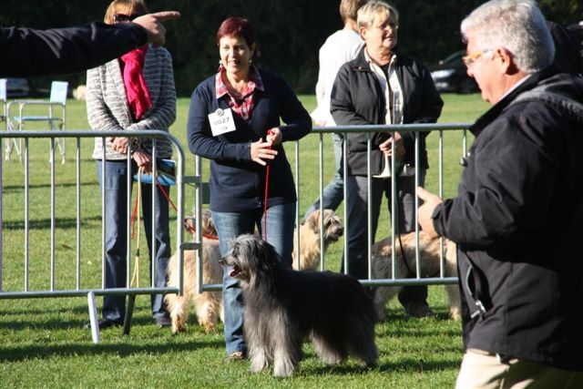 Ilo Jewels of Mountains - 3 Excellent +