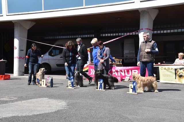 Ilo Jewels of Mountains - 3 Ex.