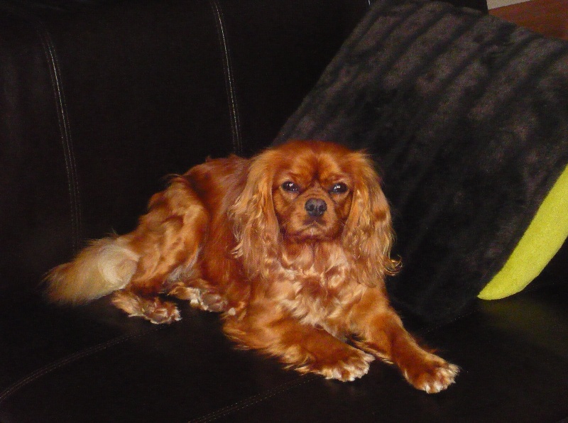 Alma Du chemin de vincy