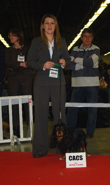 CH. Charly parker De la fieffe au songeur